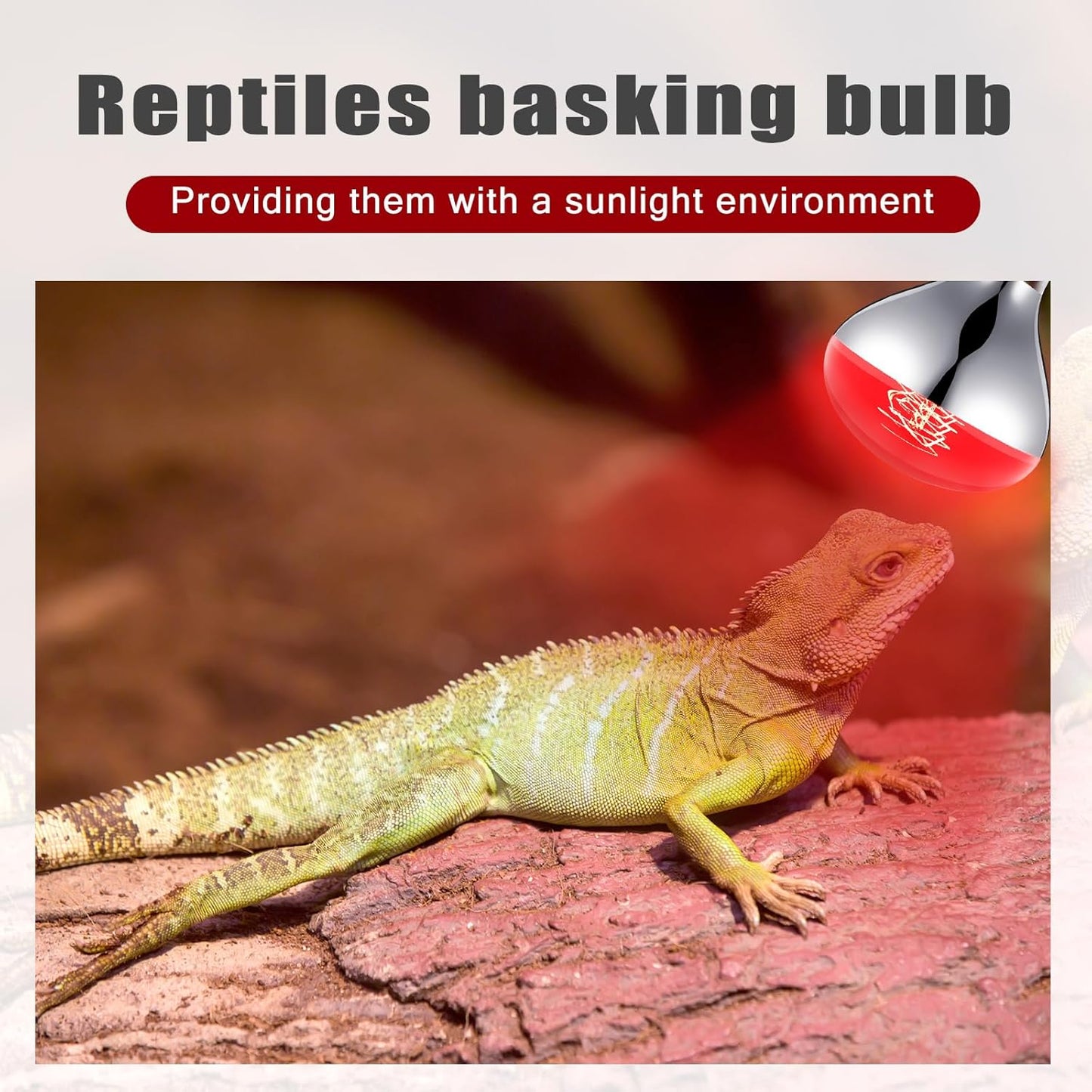 VIHOSE 1 Pack 250 Watt Heat Lamp 120v R40 Heat Lamp Bulbs Glass Incandescent Light Bulbs Incandescent Heating Lightbulbs for Reptiles Chicks Food Puppies Bathroom, Use E26 Base (Red)