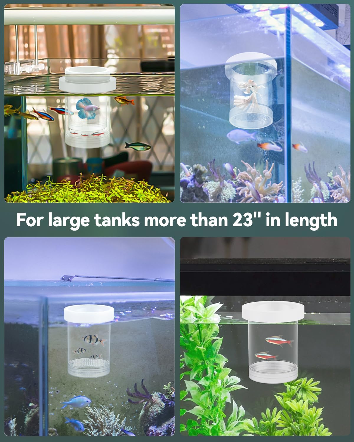 Pawfly Large Breeder Box for Fish Tank, Floating Guppy Breeder Box, Plastic Hatchery Incubator Isolation Box for Shrimp Betta Clownfish, Baby Fish Separator for Aquarium