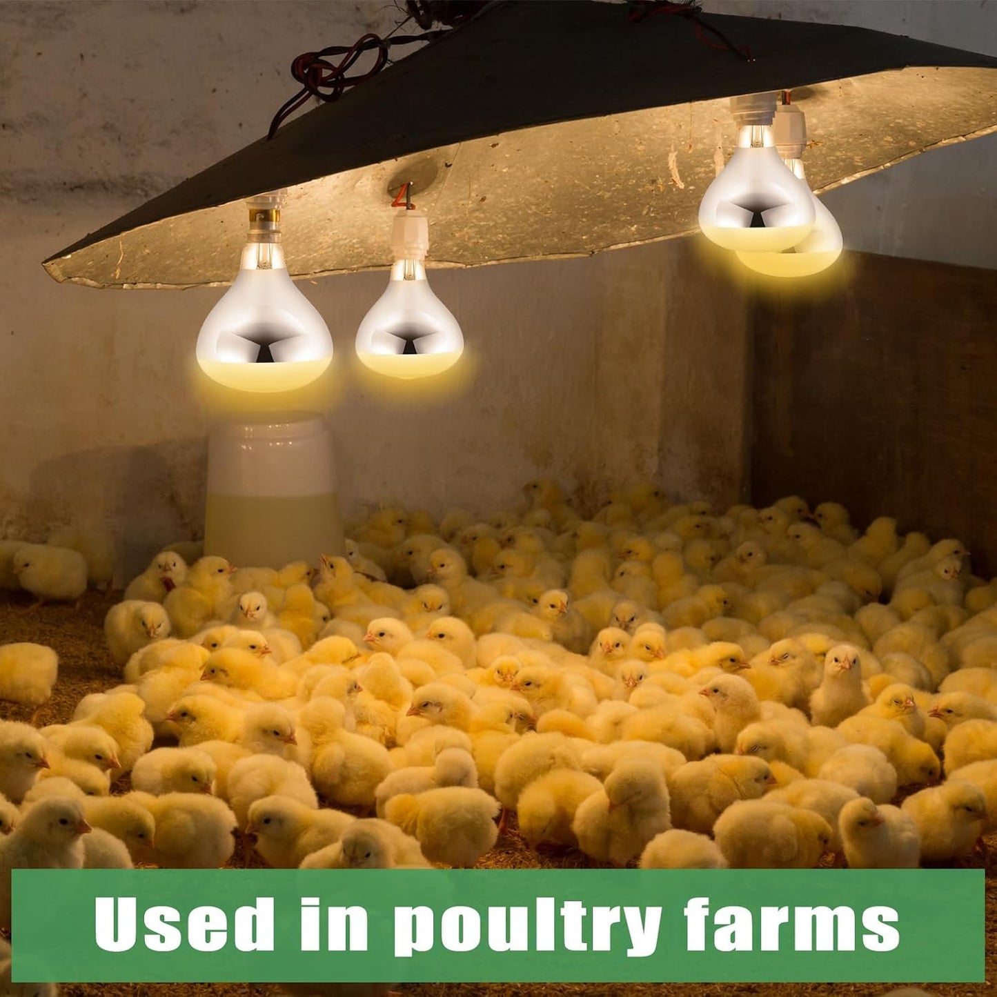 VIHOSE 2 Pack 250 Watt Heat Lamp 120v R40 Heat Lamp Bulbs Glass Incandescent Light Bulbs Incandescent Heating Lightbulbs for Reptiles Chicks Food Puppies Bathroom, Use E26 Base (Silver)