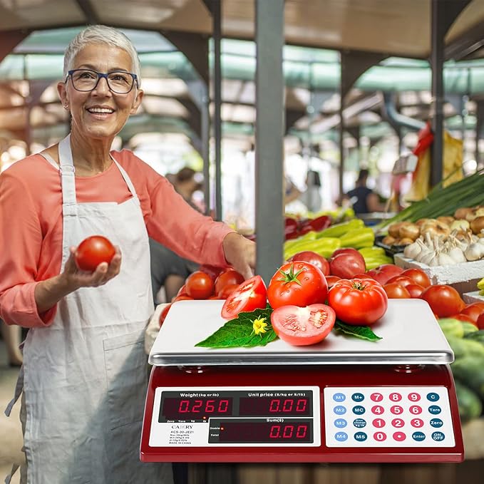 CAMRY Price Computing Scale Commercial Food Scale 66lb / 30kg Fruit Meat Produce, Dual Bright LED Display Stainless Steel Platform, for Deli Farmers Markets Restaurant
