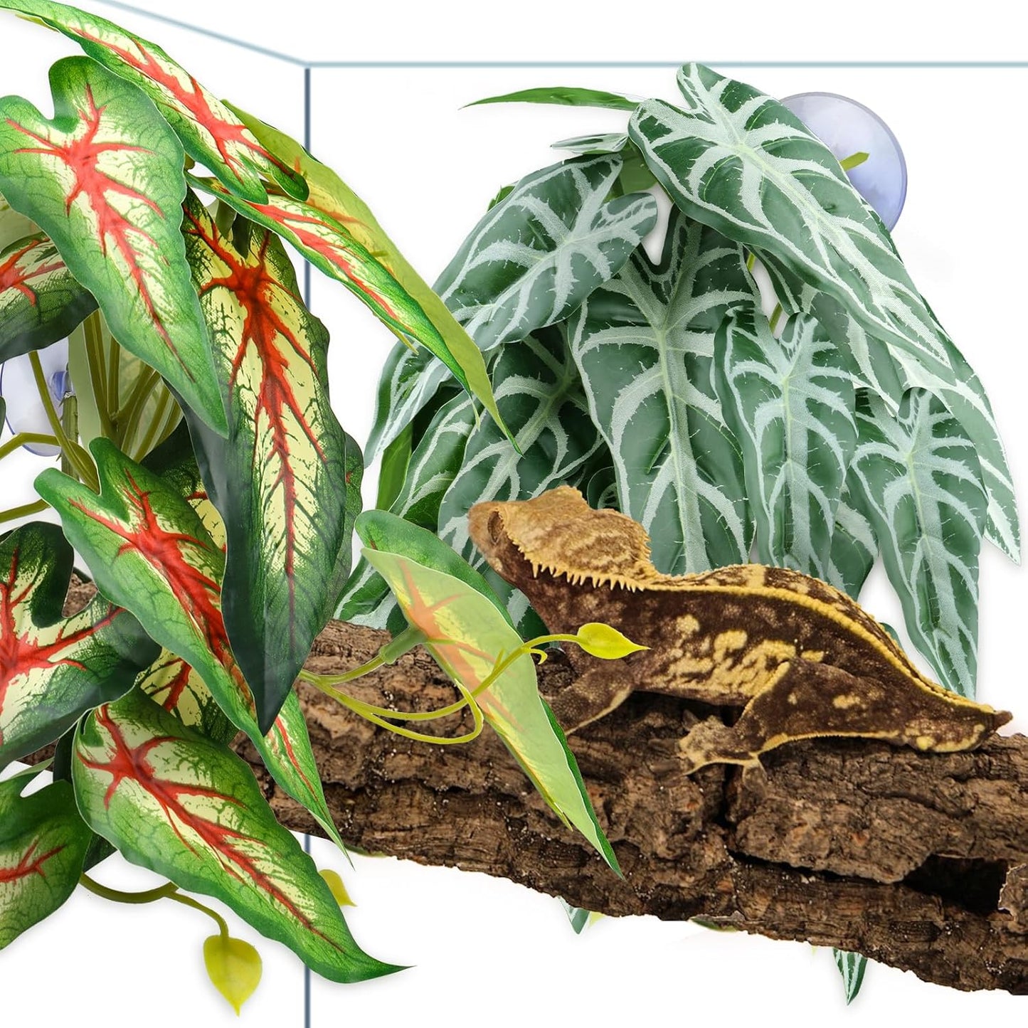 2 Pack Reptile Plants for Terrarium, Artificial Leaves Habitat Decorations with Suction Cups, Terrarium Hanging Plants Vines for Bearded Dragons Lizards Snake Geckos Frogs - red and White