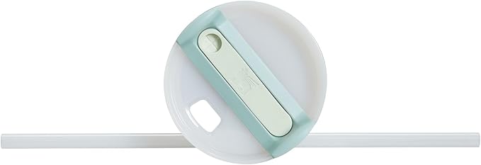 STANLEY Quencher H2.0 Tumbler with Handle and Straw 30 Ounces | Flowstate 3-Position Lid | Cup Holder Compatible for Travel | Insulated Stainless Steel Cup | BPA-Free | Seafoam