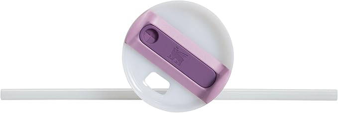 STANLEY Quencher H2.0 Tumbler with Handle and Straw 30 oz | Flowstate 3-Position Lid | Cup Holder Compatible for Travel | Insulated Stainless Steel Cup | BPA-Free | Lilac