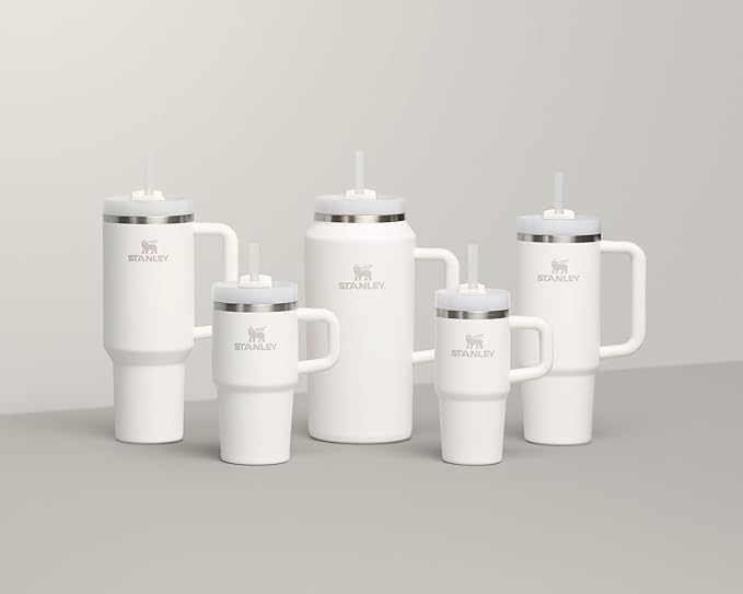 STANLEY Quencher H2.0 Tumbler with Handle and Straw 14 oz | Flowstate 3-Position Lid | Cup Holder Compatible for Travel | Insulated Stainless Steel Cup | BPA-Free | Frost