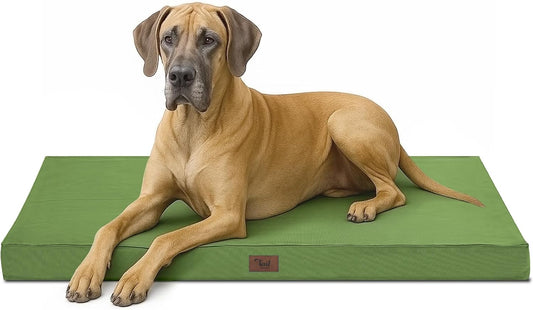 Outdoor Extra Large Dog Bed, Jumbo Waterproof Dog Bed for Large Dogs, Orthopedic Egg Foam Pet Bed Mat with Removable Oxford Cooling Cover, Light Green