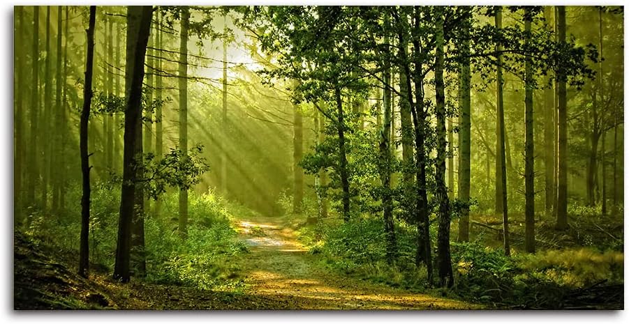Green Morning Sunlight Forest Scenery Canvas Wall Art for Bedroom Home,Beautiful Silent Summer Woods Picture Print Artwork Painting Decor,Mordern Realism Rustic Wilderness Landscape,Inner Frame 24x48