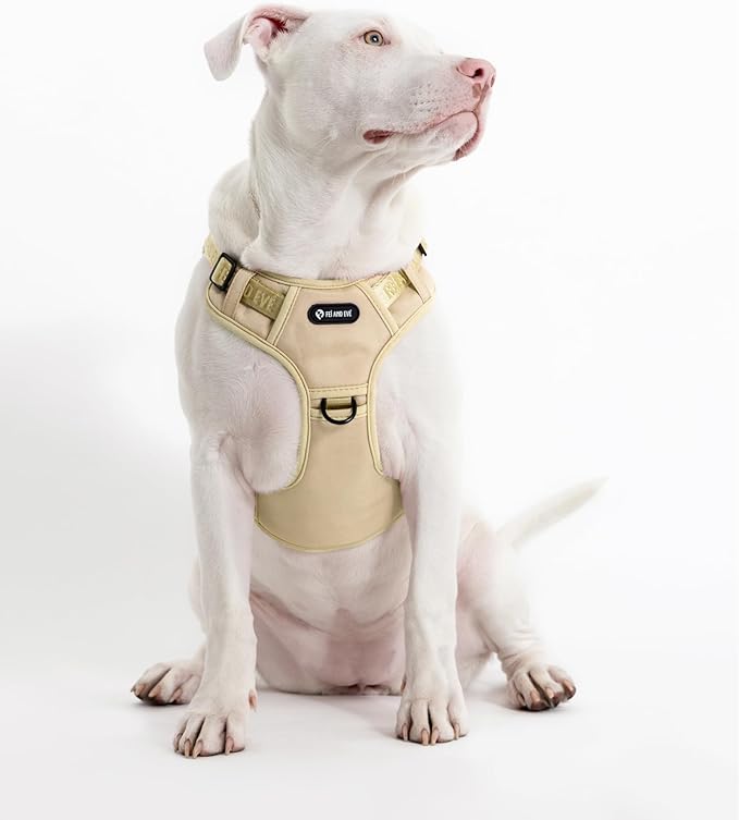 2025 New Edition, Fei & Eve MagEase Dog Harness - 3-Second Magnetic Buckles | 3-Point No-Pull Control | Heavy-Duty 900D Nylon | Dual Safety Handles | Breathable Mesh | Adjustable Fit, Large, Champagne