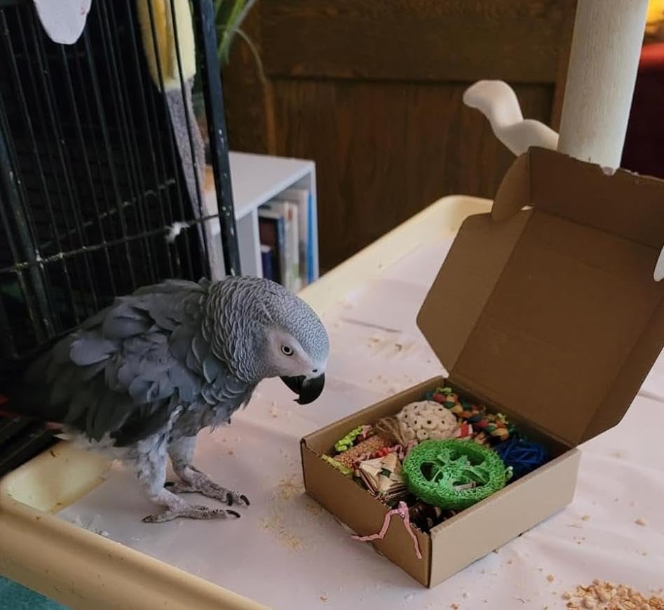 Parakeet Toys, Bird Toy Conure Grass Mat Budgie Shredder Hanging Set Cockatiel Foraging Toys Parrot Climbing Wall Toy Lovebird Cage Accessories for Small Birds (Colorful-Cockatiels Box Toys)