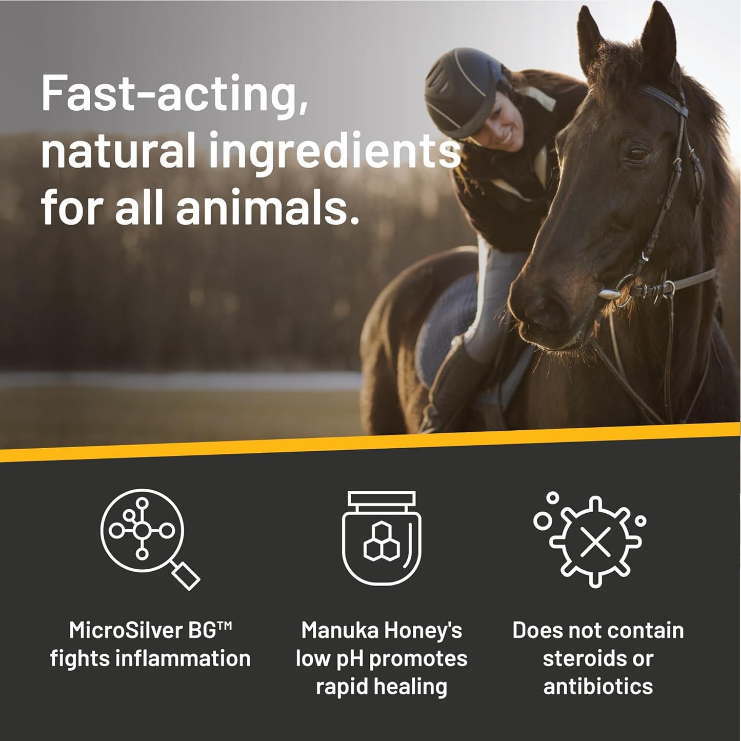 Absorbine Silver Honey Rapid Wound Repair Ointment Twin Pack 2oz Tubes, Manuka Honey & MicroSilver BG