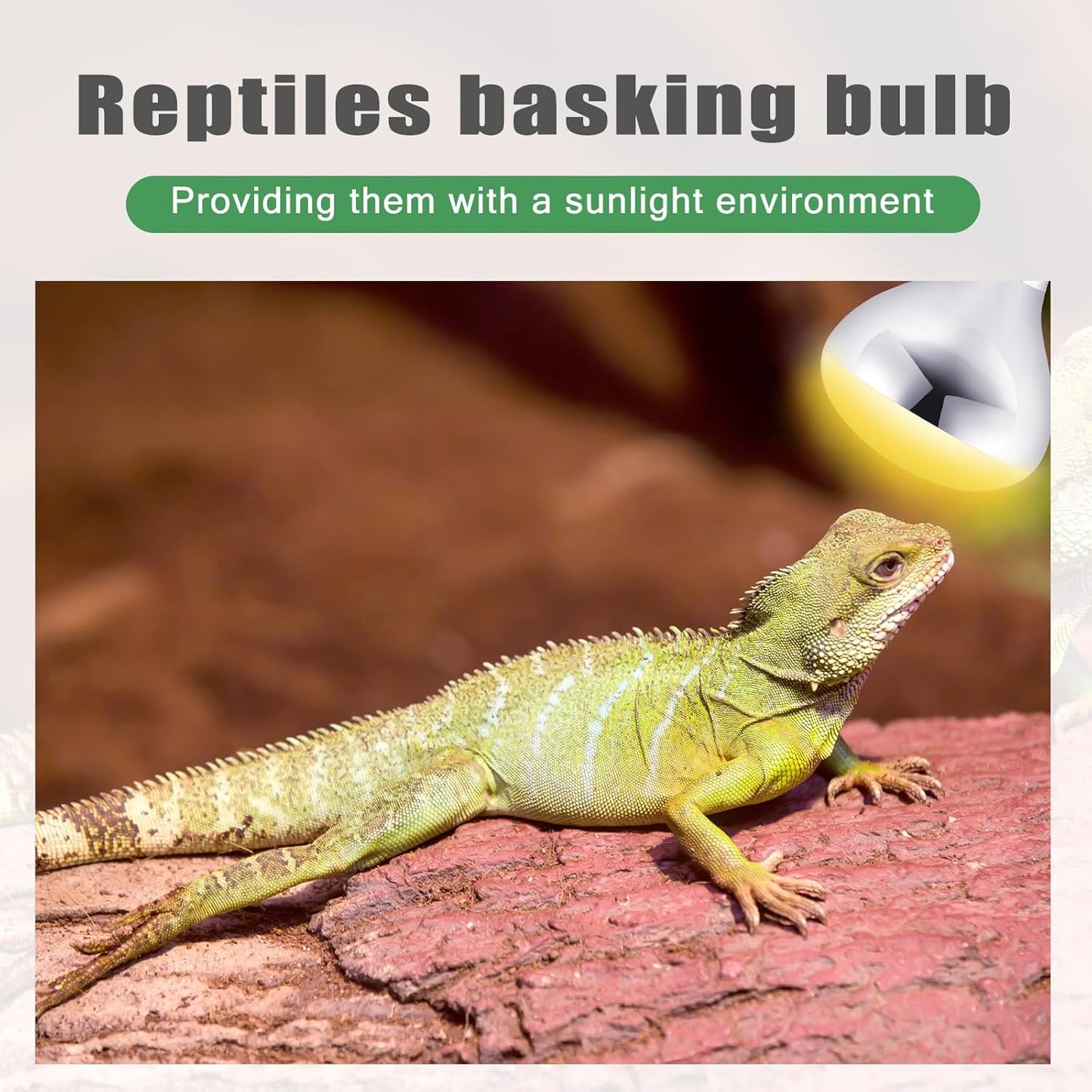 VIHOSE 4 Pack 250 Watt Heat Lamp 120v R40 Heat Lamp Bulbs Glass Incandescent Light Bulbs Incandescent Heating Lightbulbs for Reptiles Chicks Food Puppies Bathroom, Use E26 Base (Silver)