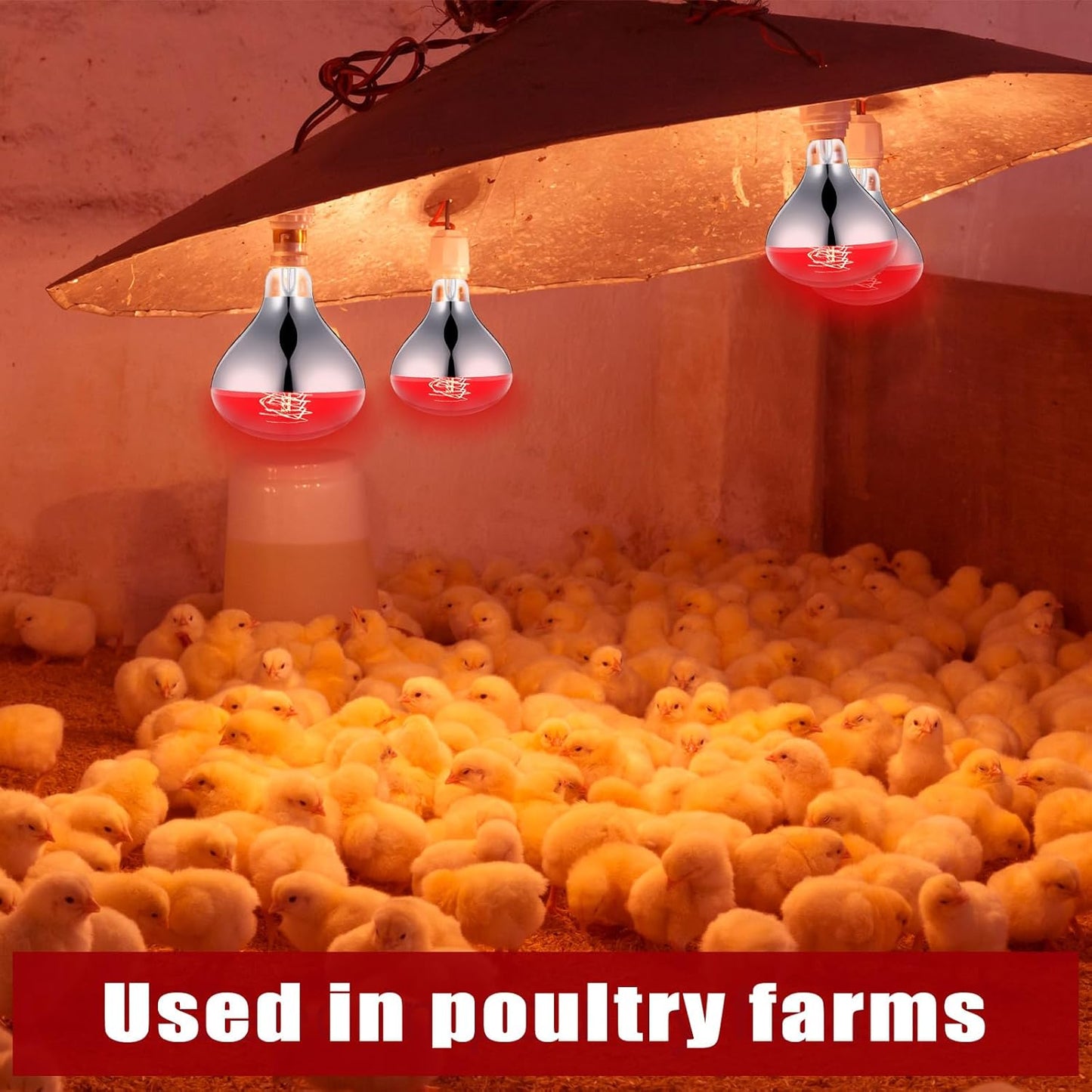 VIHOSE 1 Pack 250 Watt Heat Lamp 120v R40 Heat Lamp Bulbs Glass Incandescent Light Bulbs Incandescent Heating Lightbulbs for Reptiles Chicks Food Puppies Bathroom, Use E26 Base (Red)