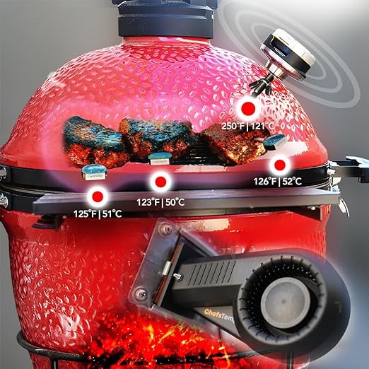 ProTemp S1 Patented Smart Grill Gauge Thermometer Hub Wi-Fi and Bluetooth for Weber Kamado Joe Grills Smoker Offset Replacement Accessories (Universal Version 3.5"length 0.3"Dia not for Big Green Egg)