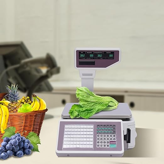 Label Printing Scale, 66Lbs Electronic Price Computing Scale with Pole Display Dual TD Thermal Label & Receipt Printer Commercial Barcode Scale for Supermarket Fruit Candy Snack Hot Pot Seafood Shops