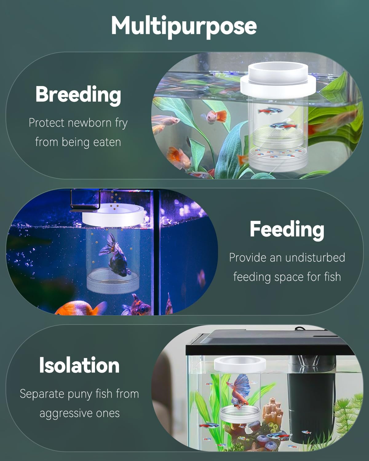 Pawfly Large Breeder Box for Fish Tank, Floating Guppy Breeder Box, Plastic Hatchery Incubator Isolation Box for Shrimp Betta Clownfish, Baby Fish Separator for Aquarium
