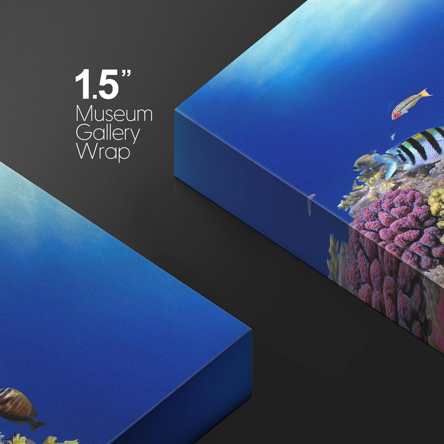 wall26 Canvas Print Wall Art Vibrant Coral Reef Anemone Fish Ecosystem Nature Animals Photography Realism Rustic Scenic Landscape Wilderness Earth Colorful for Living Room, Bedroom, Office - 32"x48"