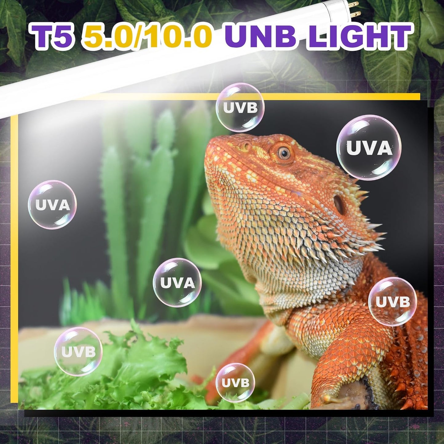 10.0 UVB Light for Reptiles, T5 HO 8 Watt Reptile Lamp Tube, Pack of 2 Fluorescent UVB Bulb, Basking Light for Bearded Dragon, Simulate Natural Sunlight for Reptiles and Amphibians
