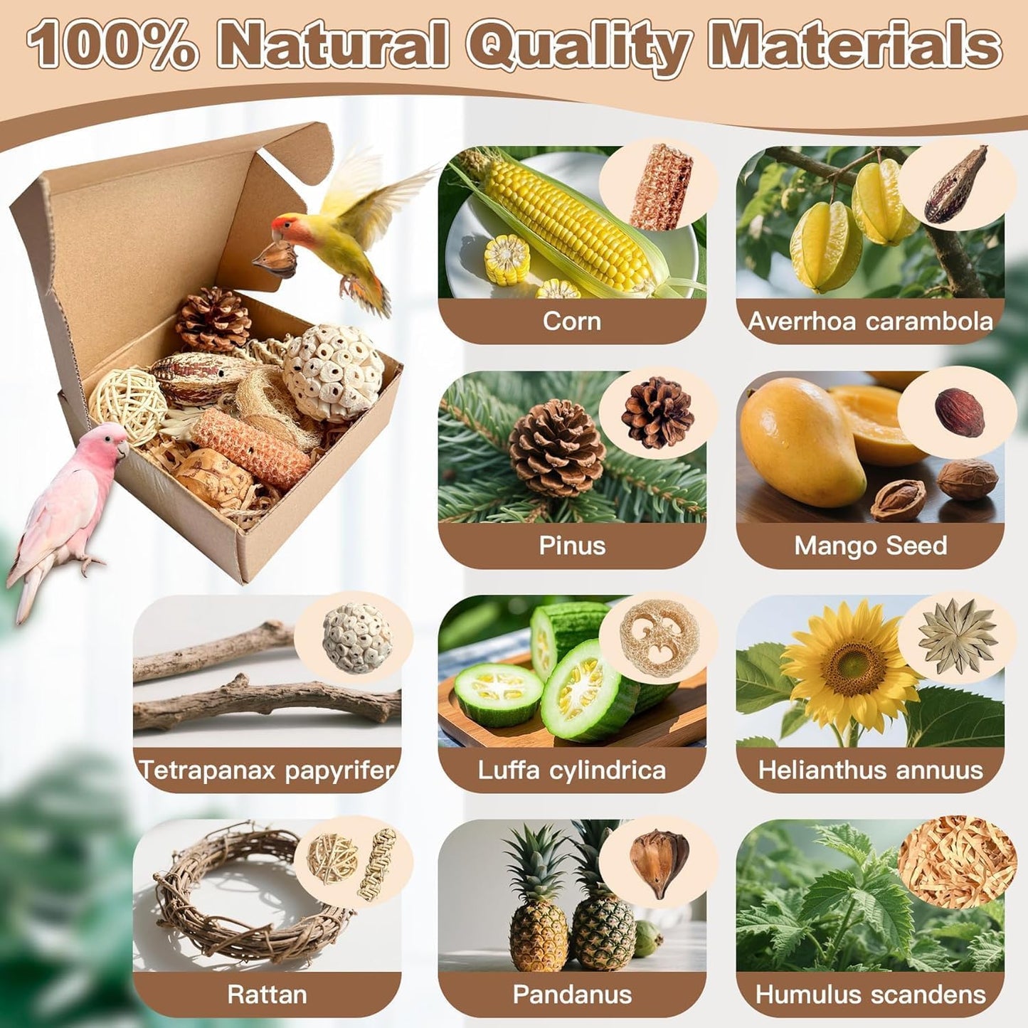 Parrot Toys, Tyotrbs Bird Toys Parakeet Toys for Birds Budgie Shredder Hanging Set Cockatiel ChewToys Parrot Climbing CageToy Lovebird Cage Accessories for Small or Medium Parrots