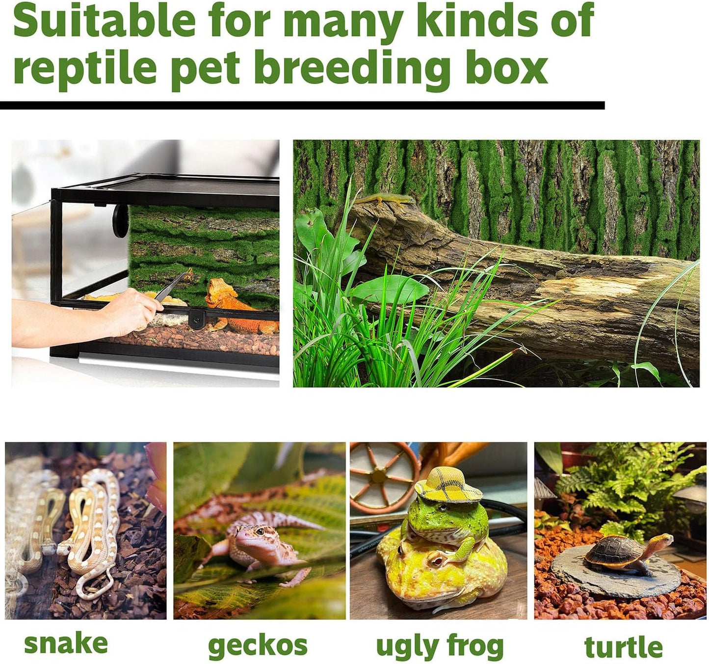 15.75x11.81in Reptile Terrarium Cork Background,Bearded Dragon Tank Bark Backdrop Wall Decor with Artificial Moss for Gecko Lizard Tortoise Frog Chameleon(4Pcs)