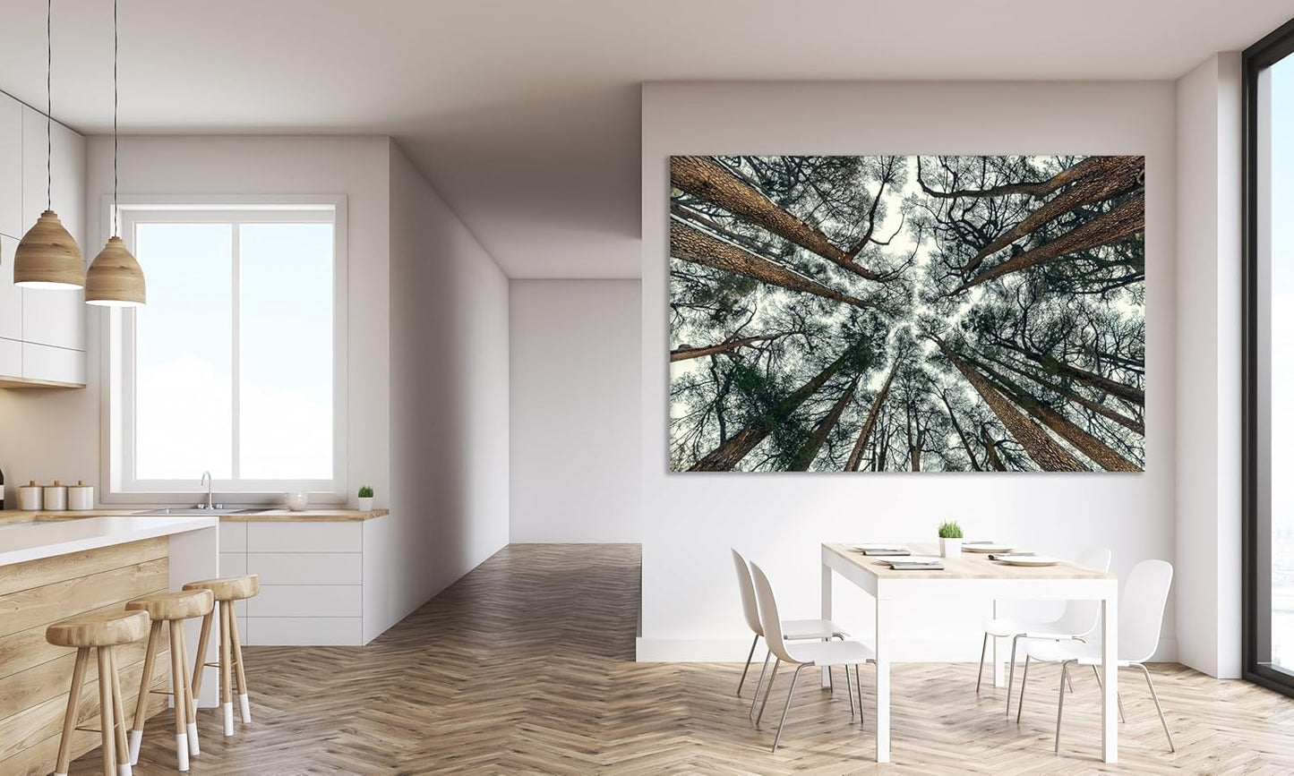 Nature Wall Art Prints - Ocean Forest Mountain Lake Canvas Landscapes - Small to Extra Large Living Room Bedroom Kitchen Bathroom Décor (Trees and Sky, 28L" x 41W")