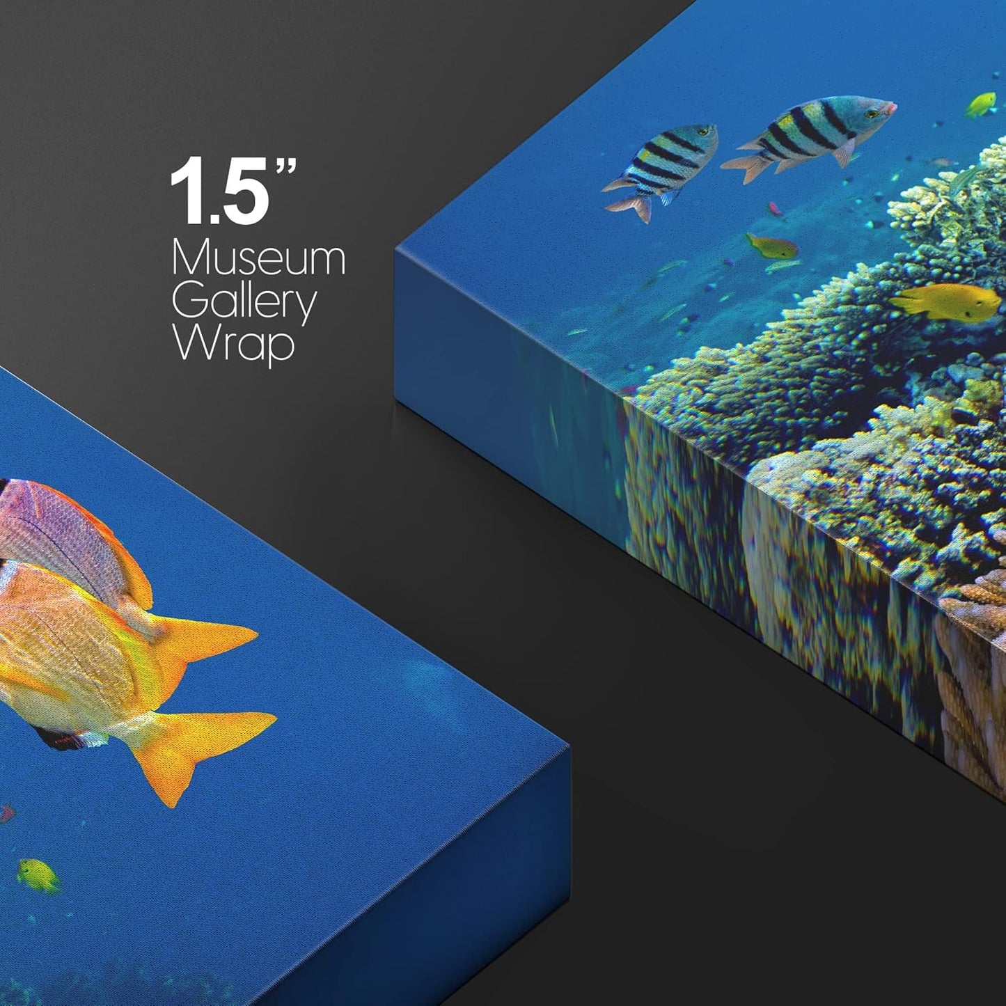 wall26 Canvas Print Wall Art Vibrant Coral Reef Underwater Panorama Nature Animals Photography Realism Rustic Scenic Landscape Wilderness Earth Colorful for Living Room, Bedroom, Office - 12"x18"