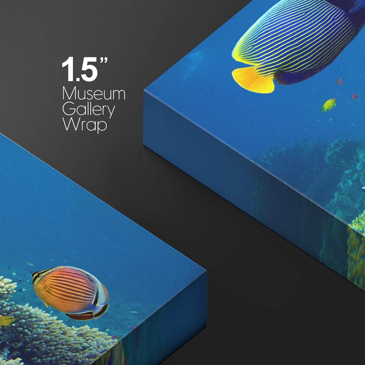 wall26 Canvas Print Wall Art Tropical Underwater Sea Coral Reef Fish Nature Animals Photography Realism Rustic Scenic Landscape Wilderness Earth Colorful for Living Room, Bedroom, Office - 24"x36"