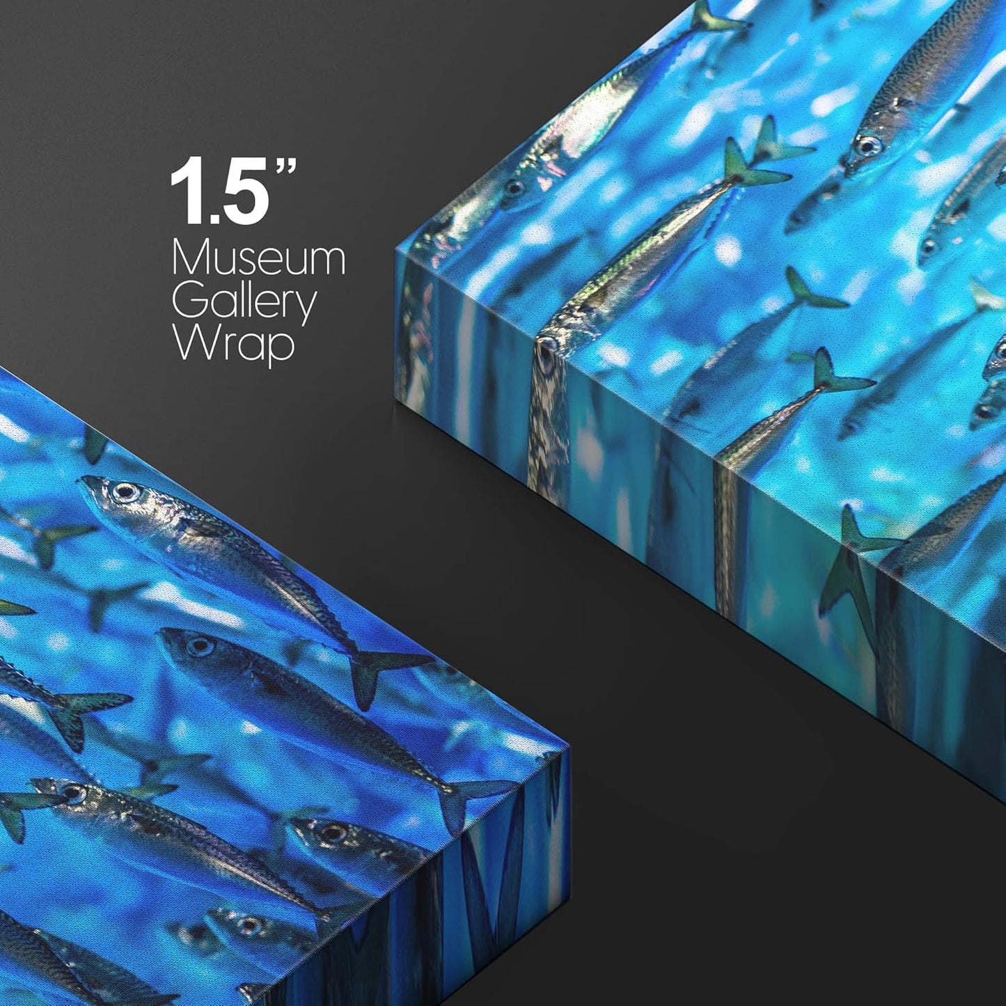 wall26 Canvas Print Wall Art Close Up Sardine School of Fish Underwater Nature Animals Photography Realism Rustic Scenic Landscape Wilderness Earth for Living Room, Bedroom, Office - 12"x18"