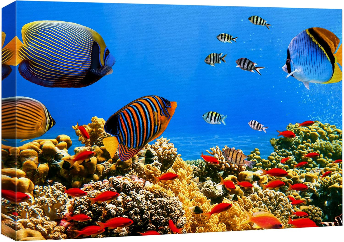 wall26 Canvas Print Wall Art Tropical Island Underwater Fish Red Anemone Nature Animals Photography Realism Rustic Scenic Landscape Wilderness Colorful for Living Room, Bedroom, Office - 12"x18"