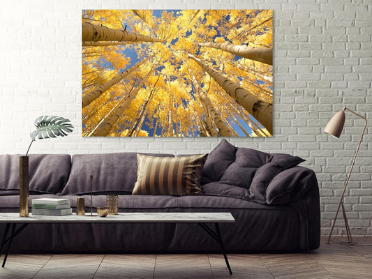 Nature Wall Art Prints - Ocean Forest Mountain Lake Canvas Landscapes - Small to Extra Large Living Room Bedroom Kitchen Bathroom Décor (Reaching for the Sky, 20L" x 30W")