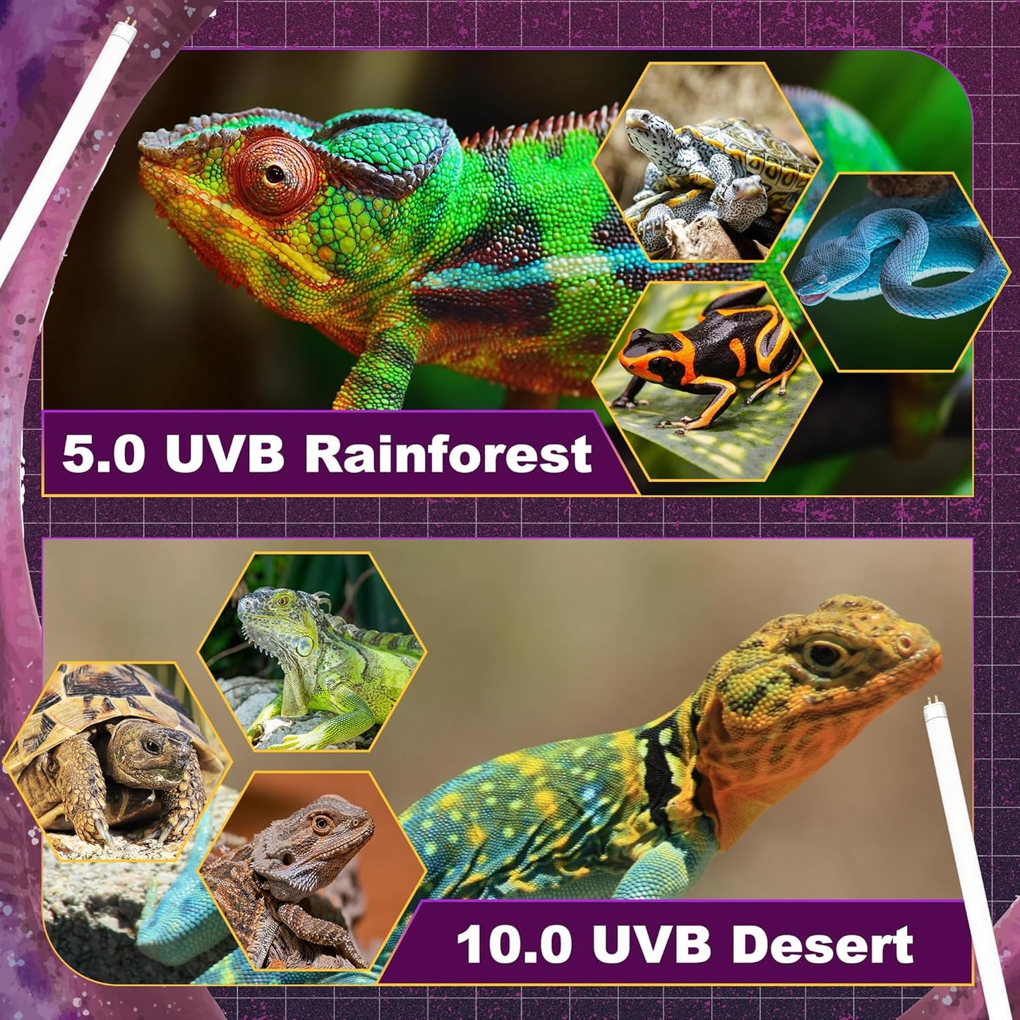 10.0 UVB Light for Reptiles, T5 HO 8 Watt Reptile Lamp Tube, Pack of 2 Fluorescent UVB Bulb, Basking Light for Bearded Dragon, Simulate Natural Sunlight for Reptiles and Amphibians