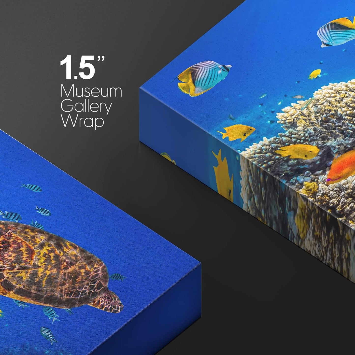 wall26 Canvas Print Wall Art Neon Coral Reef Blue Hippo Tang Fish Turtle Nature Animals Photography Realism Rustic Scenic Landscape Wilderness Colorful for Living Room, Bedroom, Office - 12"x18"